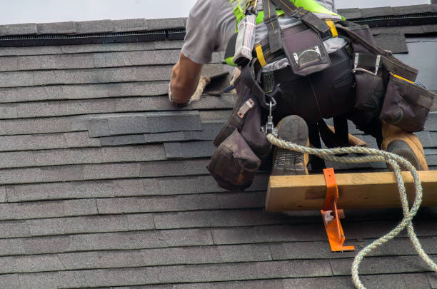 Roof Gutter Cleaning in Soldotna, AK