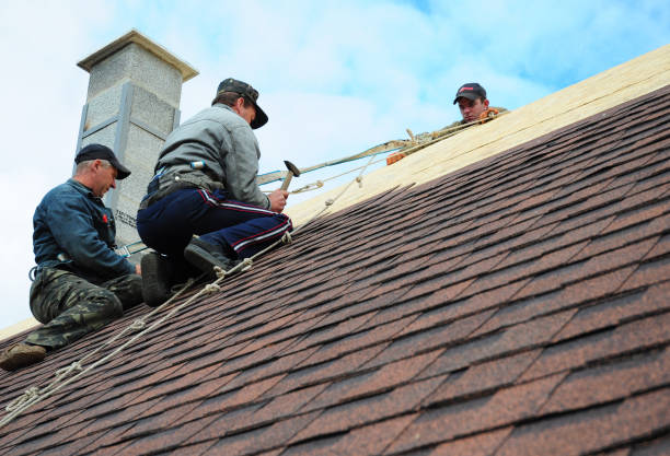 Professional Roofing Contractor in Soldotna, AK